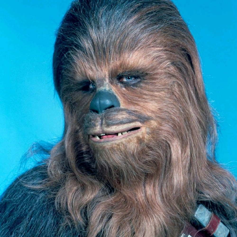 Meet your Posher, Phil